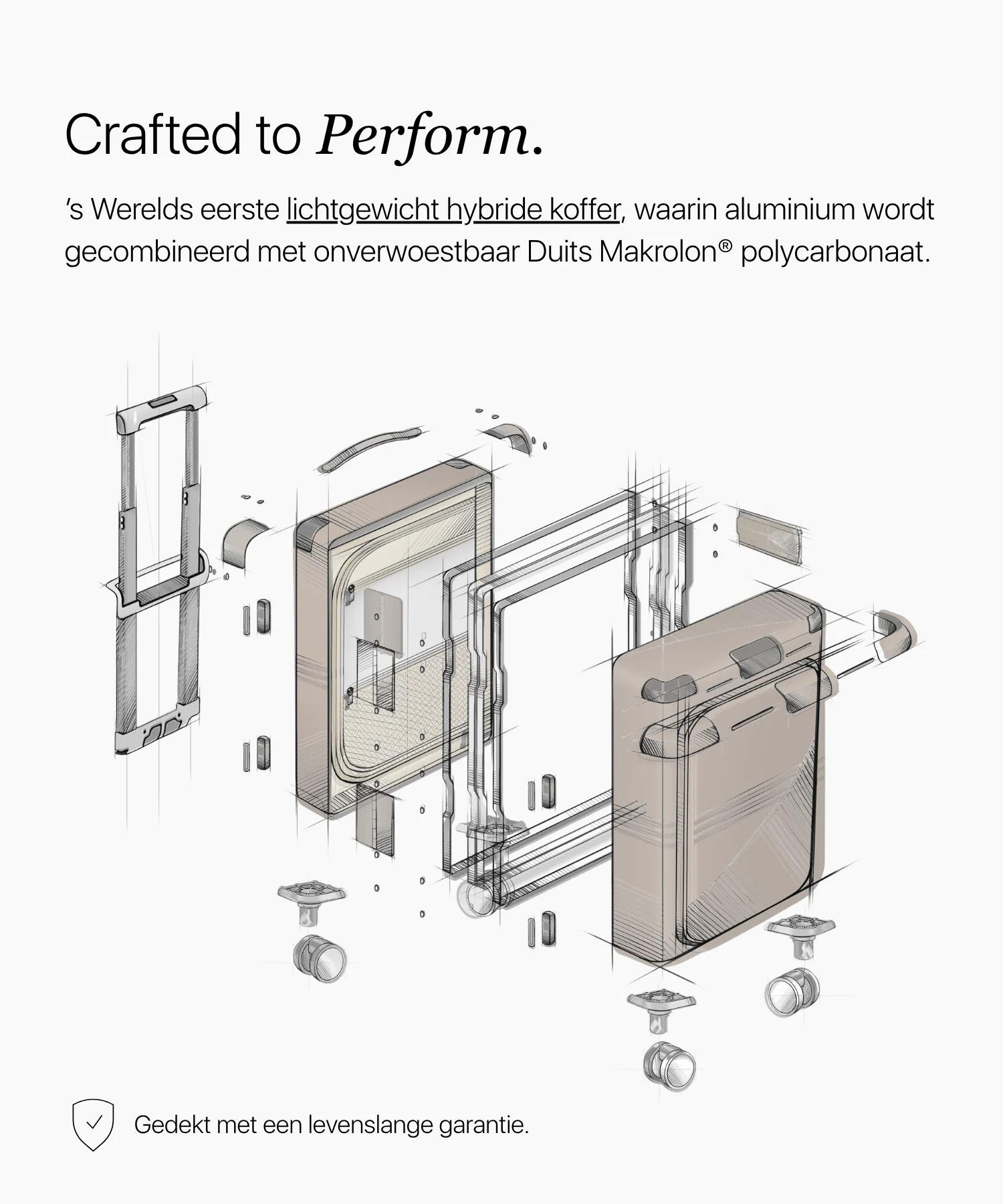 Productafbeelding 10